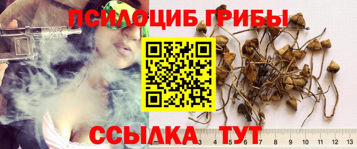 Как найти закладки?  ГАШИШ  Каннабис  Трёхгорный  Меф   Меф МЯУ МЯУ  Вход с VPN 