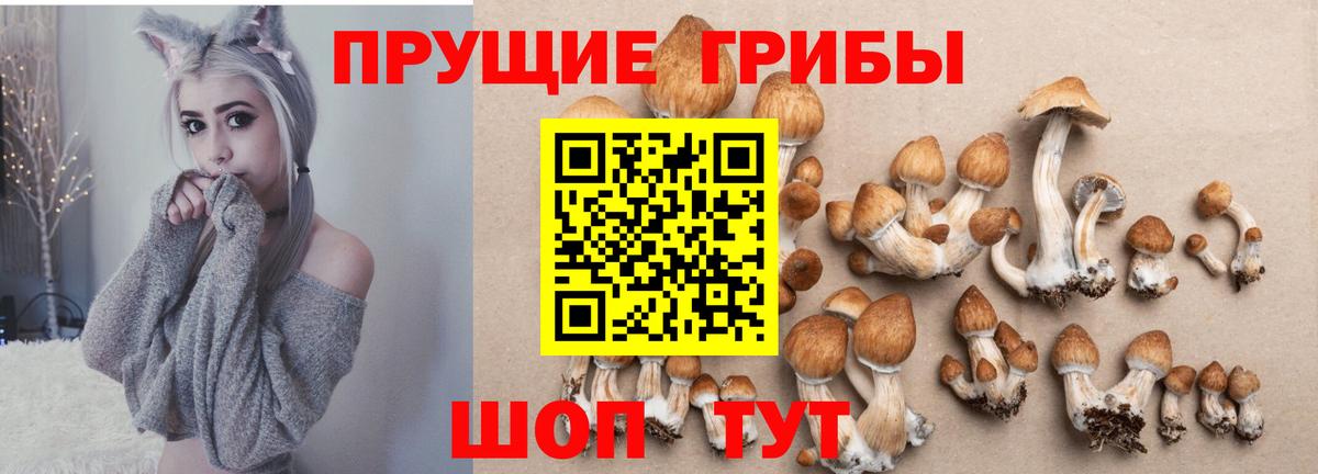 Трёхгорный  Галлюциногенные грибы Cubensis  Вход с VPN 