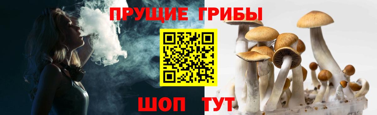 Псилоцибиновые грибы мицелий Трёхгорный